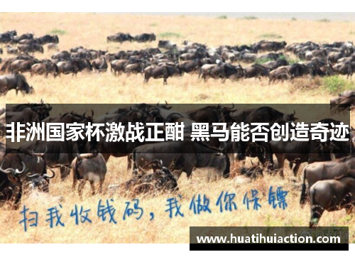 非洲国家杯激战正酣 黑马能否创造奇迹